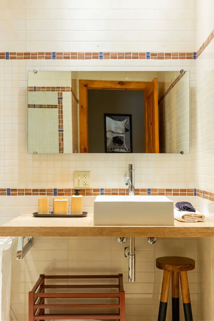 Design elements of the lower level bathroom.