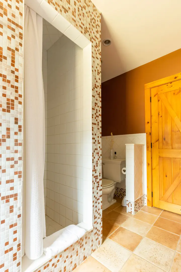 The rain shower and toilet on the main floor.